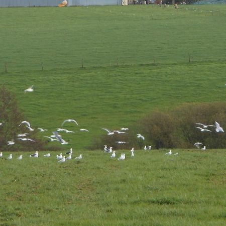 Chambre D'hôtes La Basse Gougeonnière Neuvy-en-Mauges Esterno foto