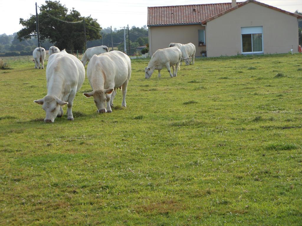Chambre D'hôtes La Basse Gougeonnière Neuvy-en-Mauges Esterno foto